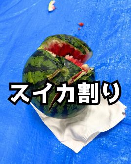 記事のサムネイル