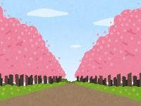 【秀峰荘ショートステイ】桜の木